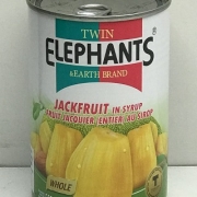 Twin Elephant Canned JACKFRUIT In Syrup 24x565g