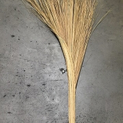 VN COCONUT Frond Brooms x30Pc/Ctn